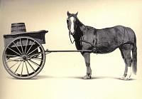 1990 D250 to W250-cart_before_the_horse_zps824f5c2e.jpg