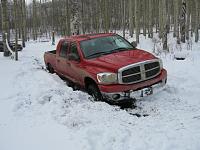 Mega-buried-img_0700.jpg