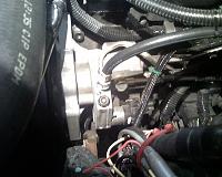 How-To '06 Cummin Fuel Pressure Gauge-fp_gauge_cp3_tap_and_hose.jpg