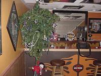 The Random Picture(s) Thread-bar-tree-2.jpg