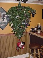 The Random Picture(s) Thread-bar-tree.jpg