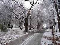 Claude's S-O-S Coffee bar ~ 12/9/07--12/15/07-ice-storm2.jpg