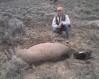 Lets see your HUNTING Pictures!-photo9510.jpg