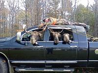 Brings a new meaning to MooseHead Beer-moosehead.jpg