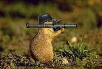 Gopher blaster-ground-squirrell.jpg