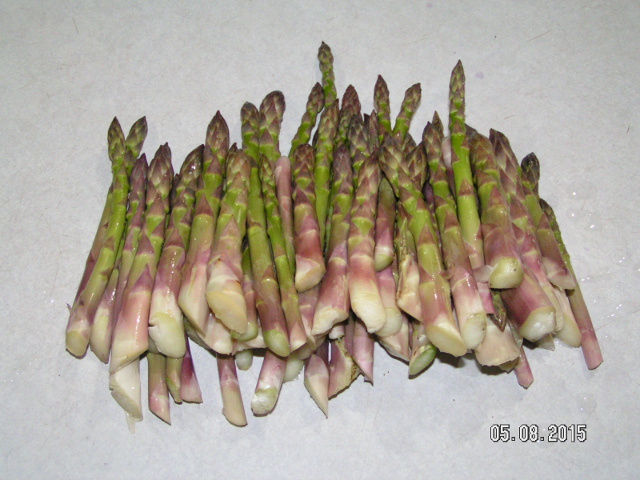 Name:  Asparagus_zps2kbaqm3e.jpg
Views: 14
Size:  169.4 KB